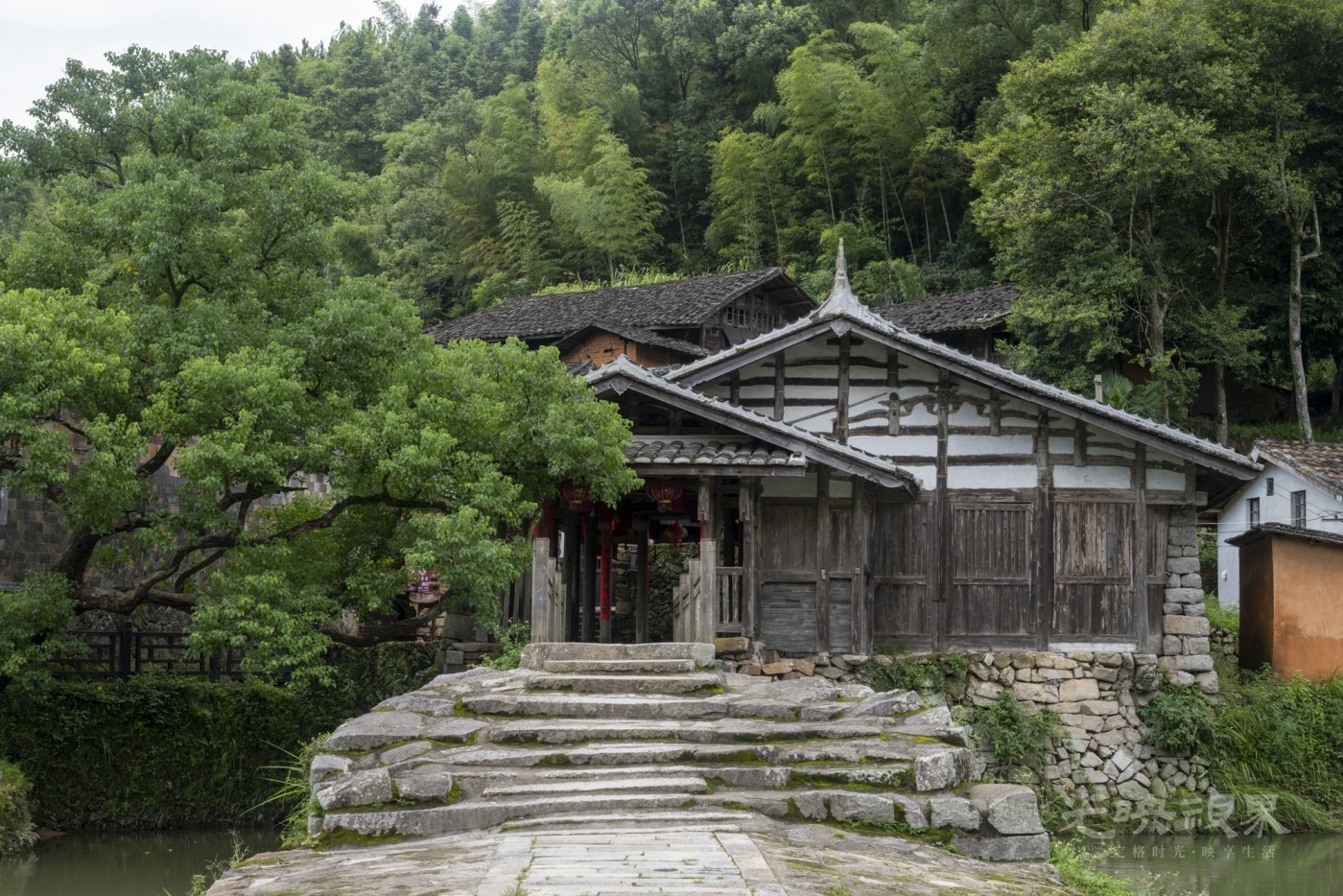 DSC_2081_1.JPG