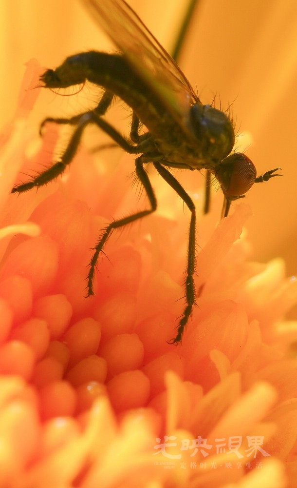 DXA09186.jpg