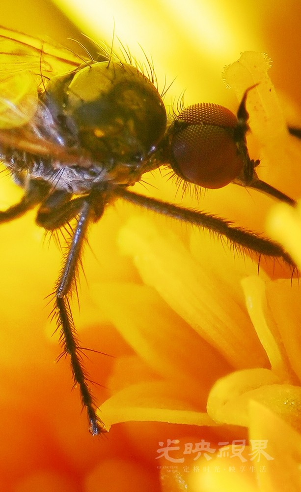 DXA09194.jpg