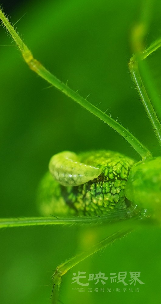 DXA08922.JPG