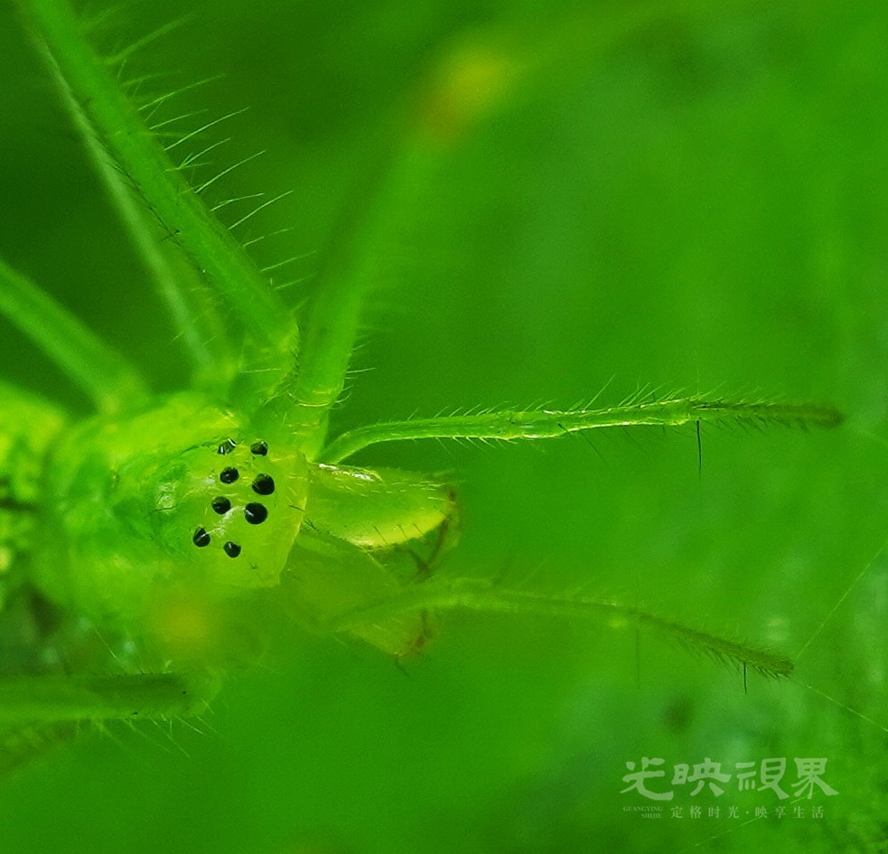 DXA08932.JPG