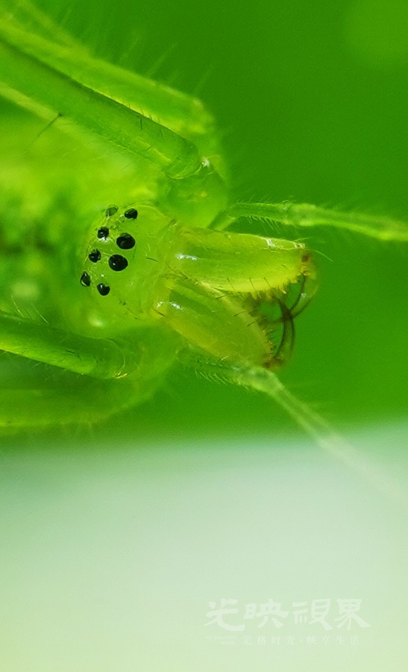 DXA08934.JPG