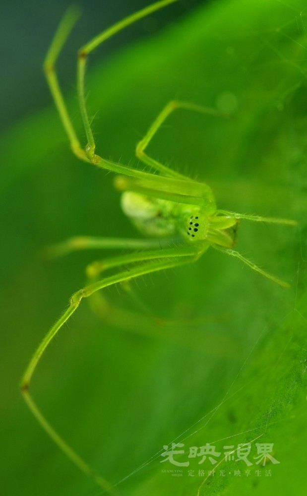 DXA08940.JPG