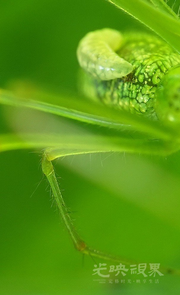 DXA08943.JPG