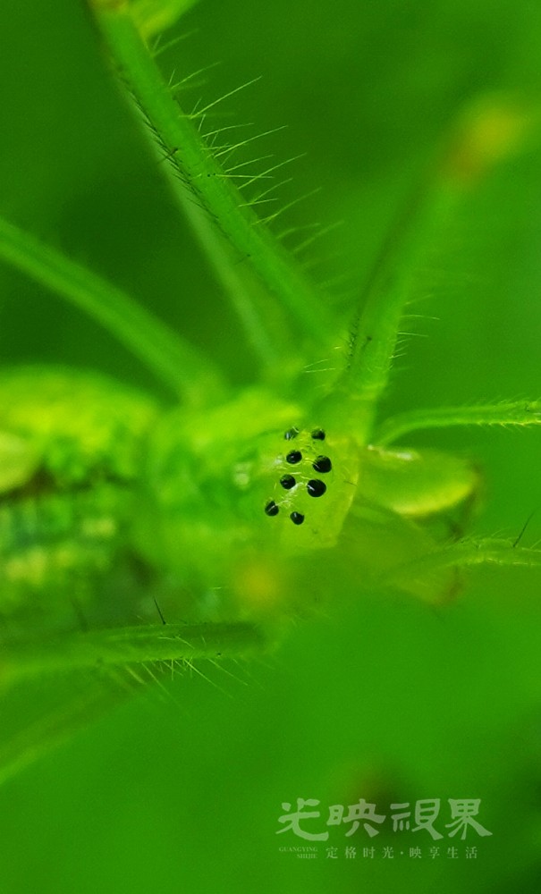 DXA08981.JPG