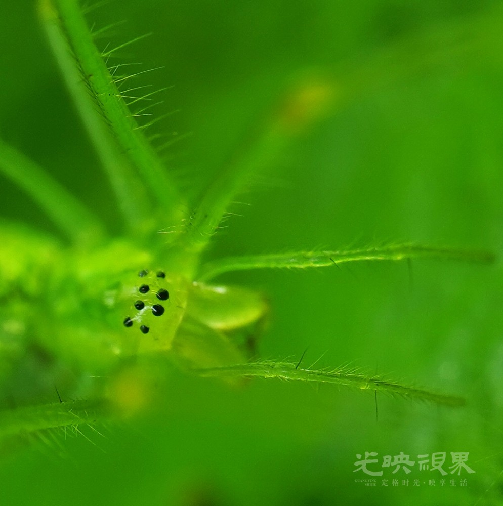 DXA08984.JPG