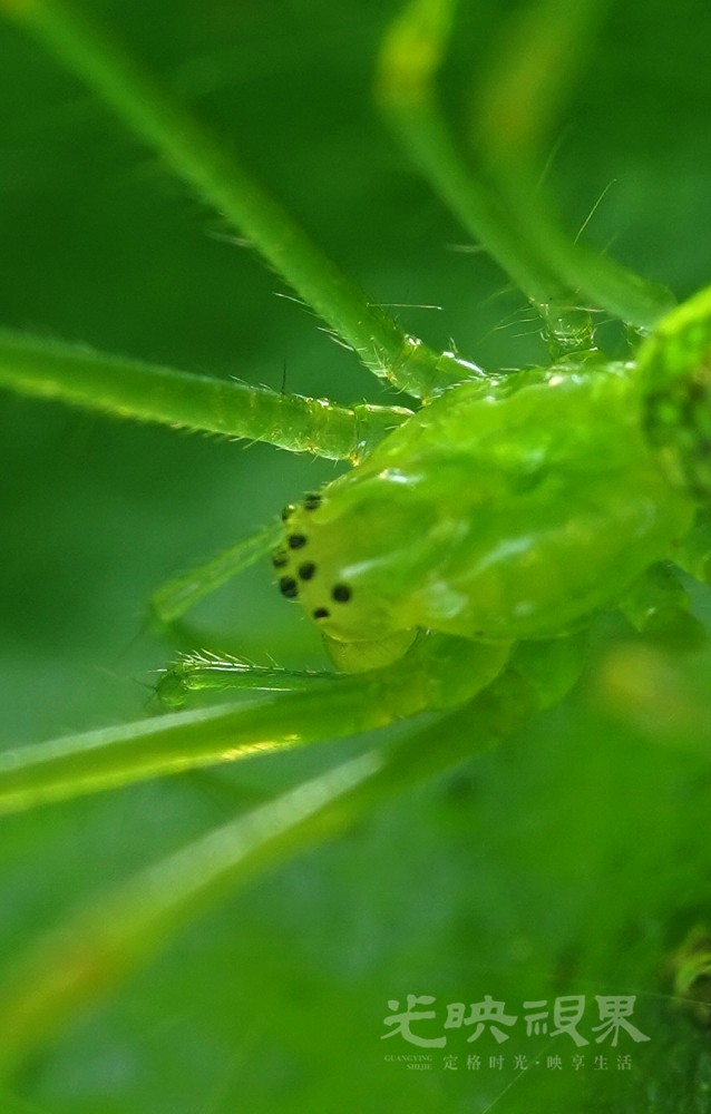 DXA08985.JPG