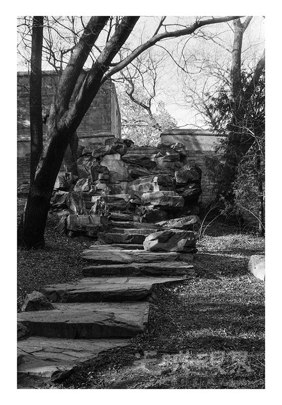 Untitled (15).jpg