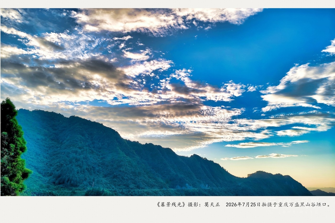 IMG_20260725_192600_副本_副本.jpg