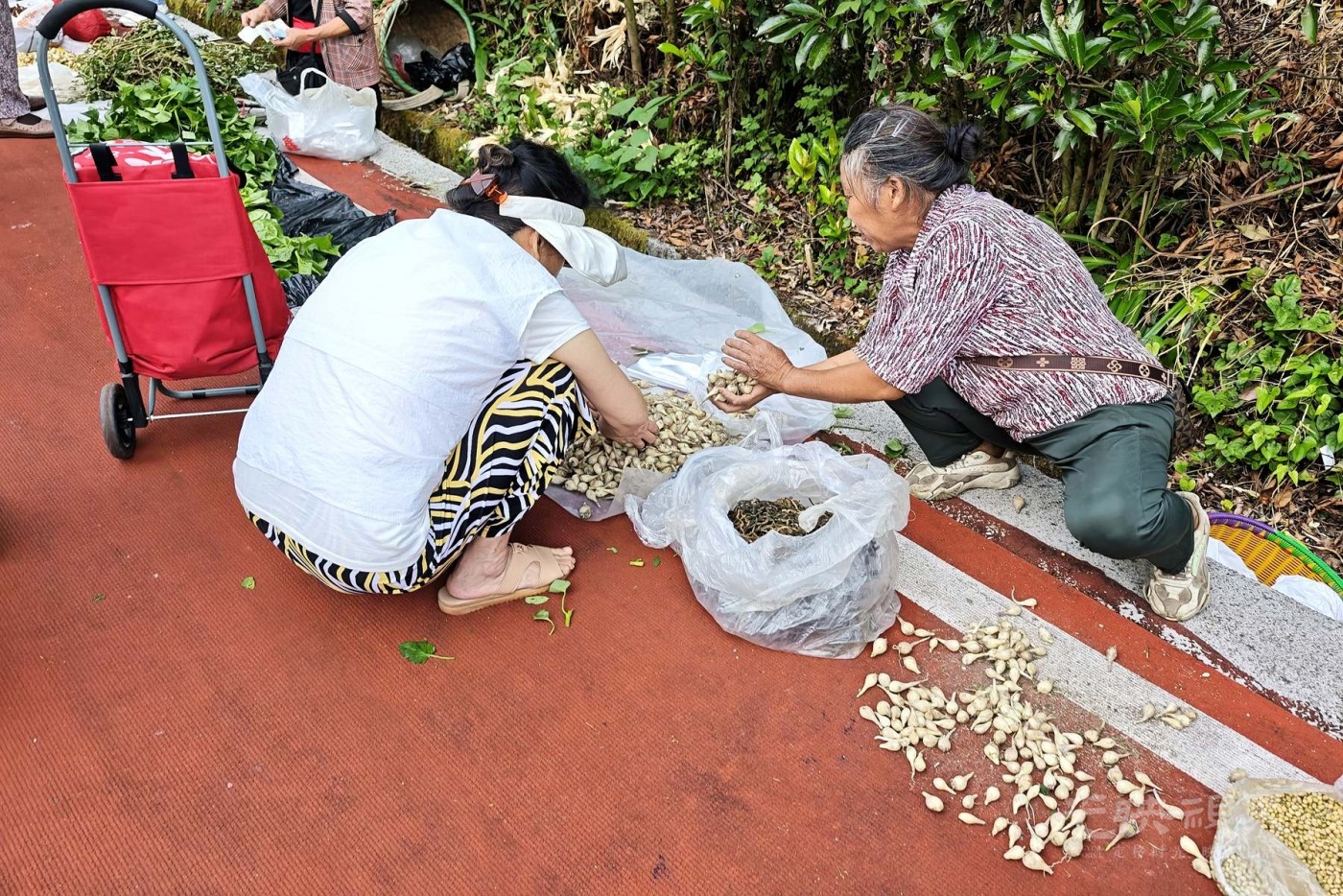 4-IMG_20260725_070258_副本.jpg