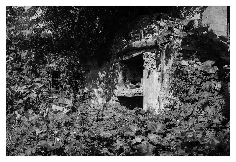 Untitled (46).jpg