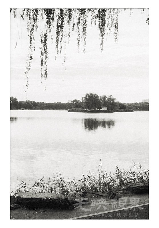 Untitled (11).jpg