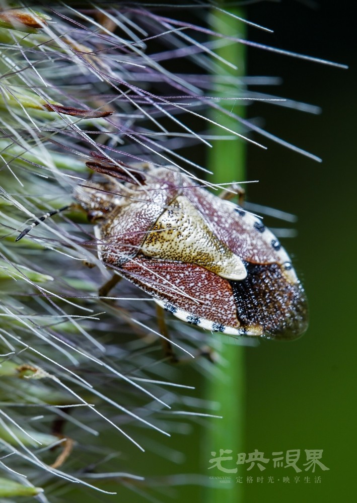 DXA09045.jpg
