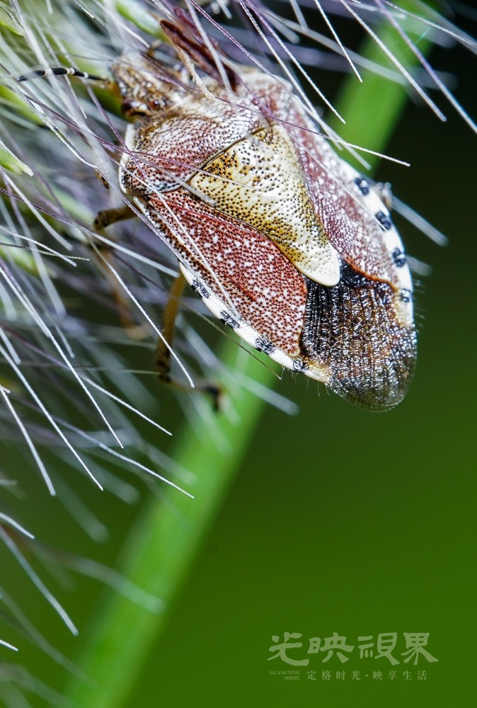 DXA09046.jpg