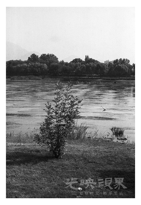 Untitled (43).jpg