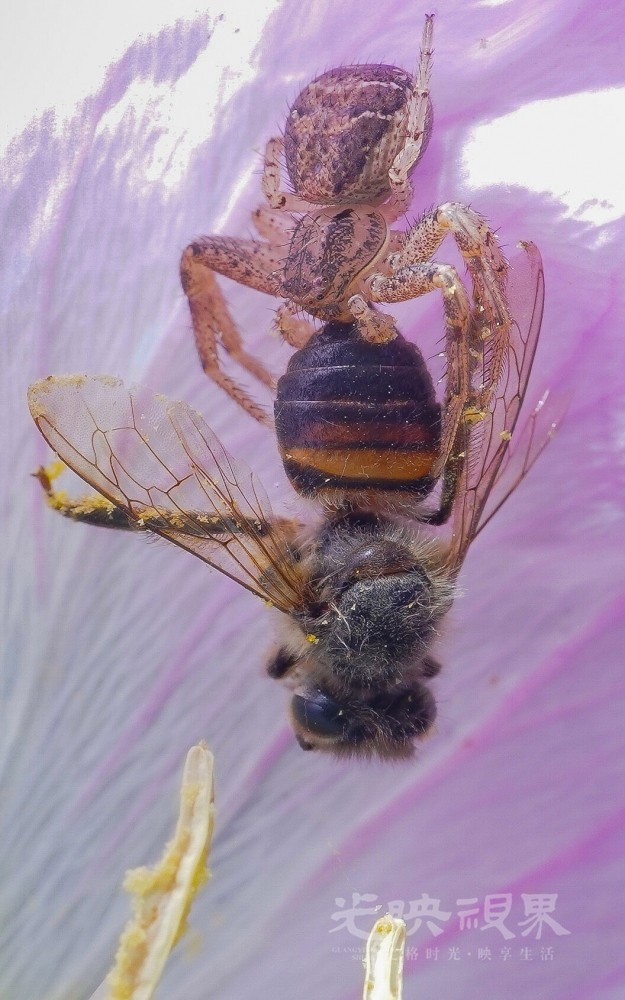 DXA09727.jpg