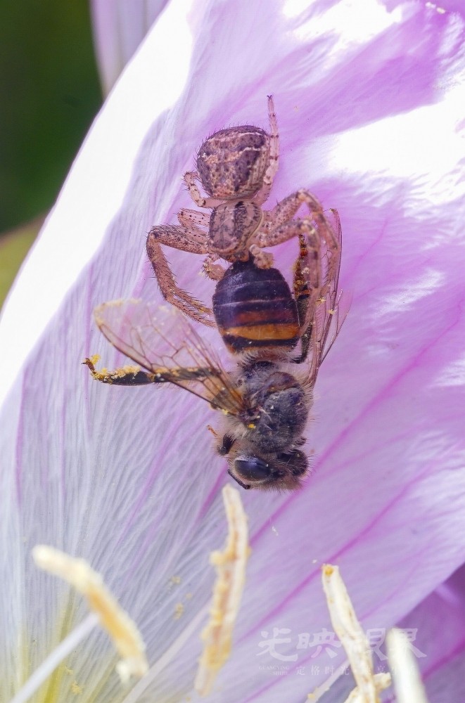 DXA09738.jpg