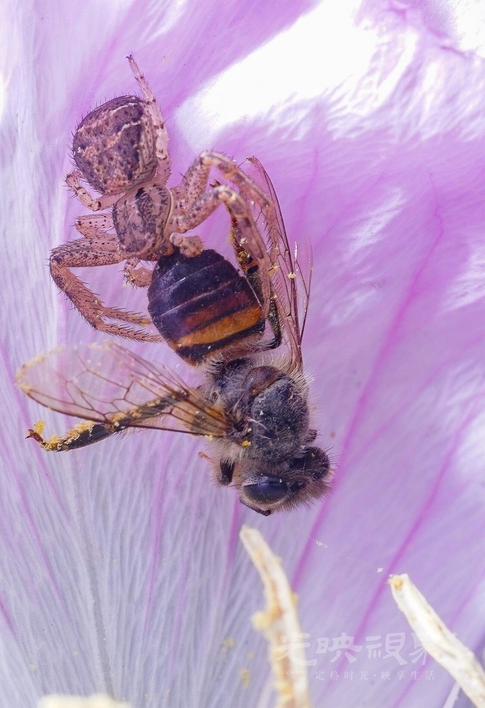 DXA09740.jpg