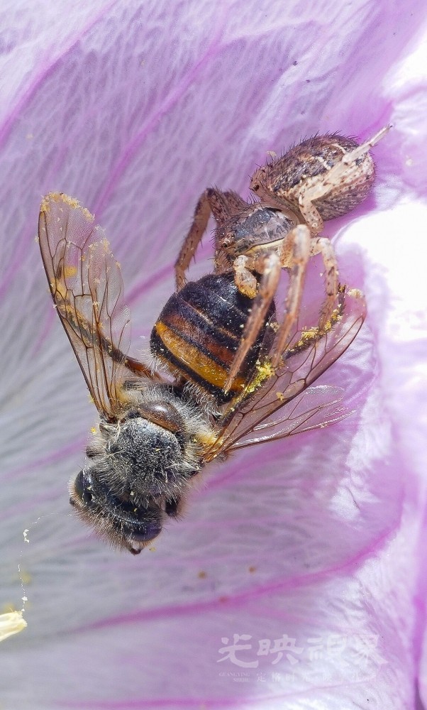 DXA09751.jpg