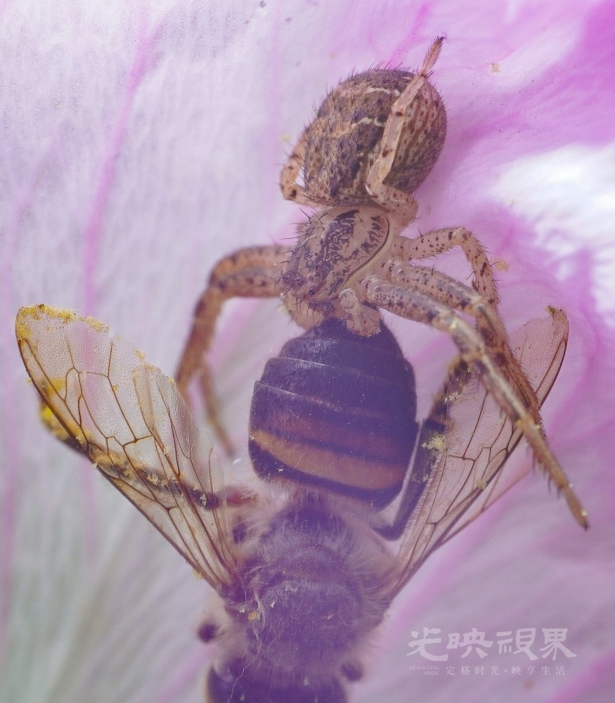 DXA09759.jpg
