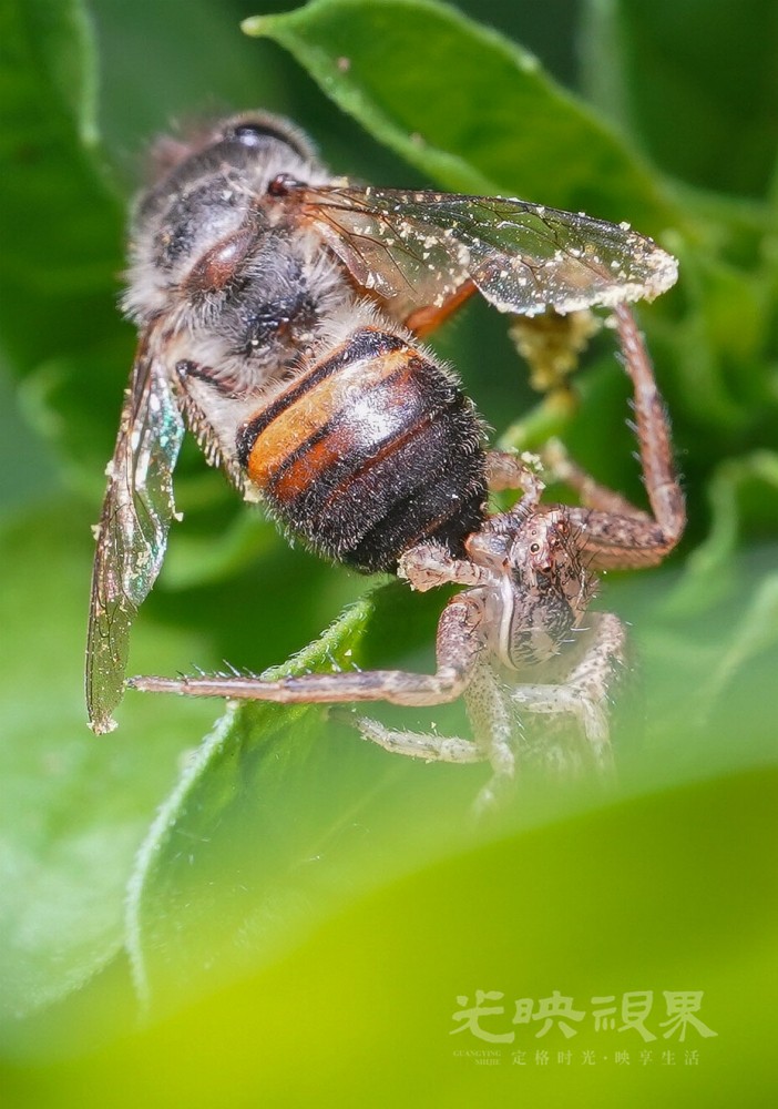 DXA09776.jpg