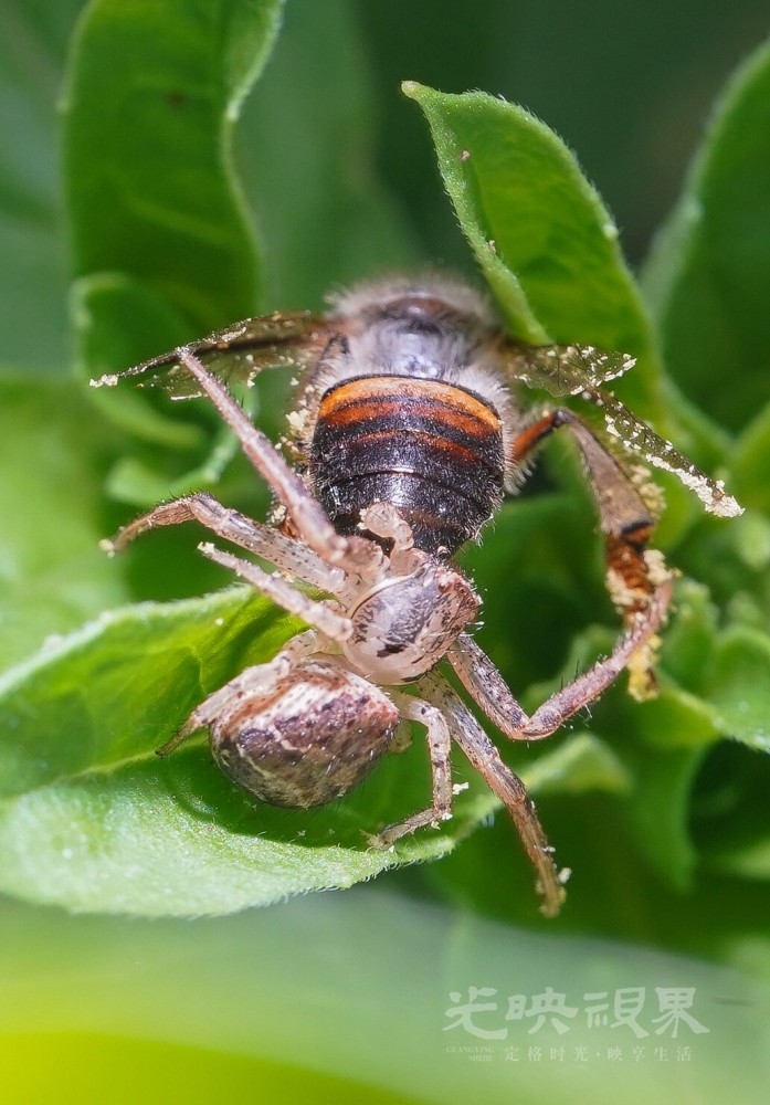 DXA09780.jpg