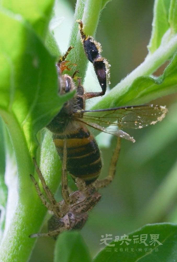 DXA09798.jpg