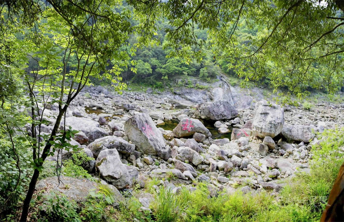 20190504安徽金寨燕子河大峡谷023.jpg