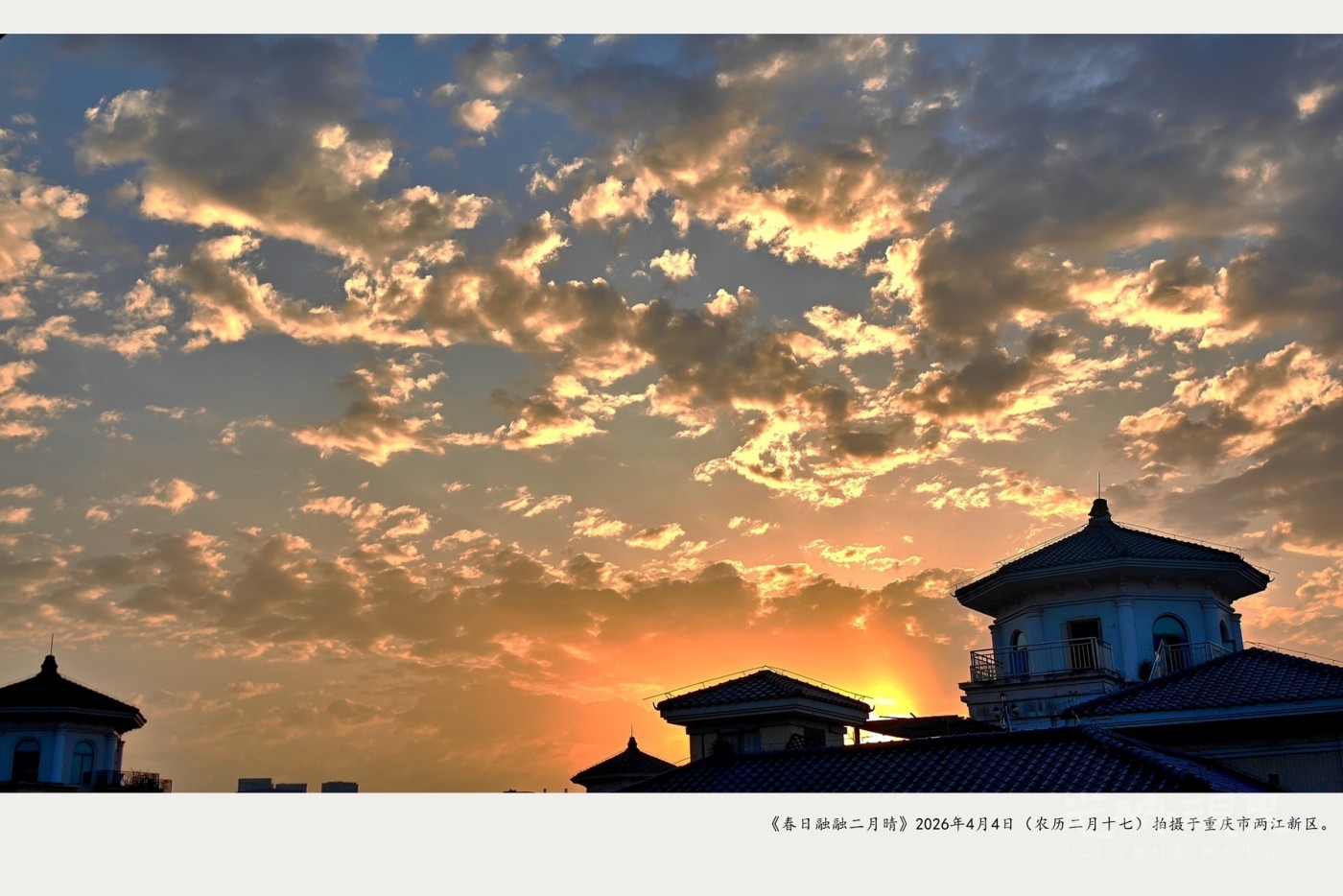 IMG_20260404_070431_副本.jpg