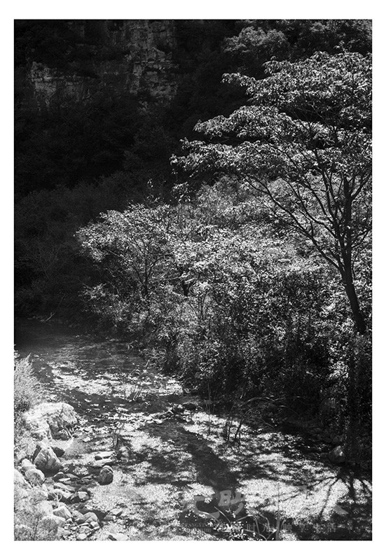 Untitled (9).jpg