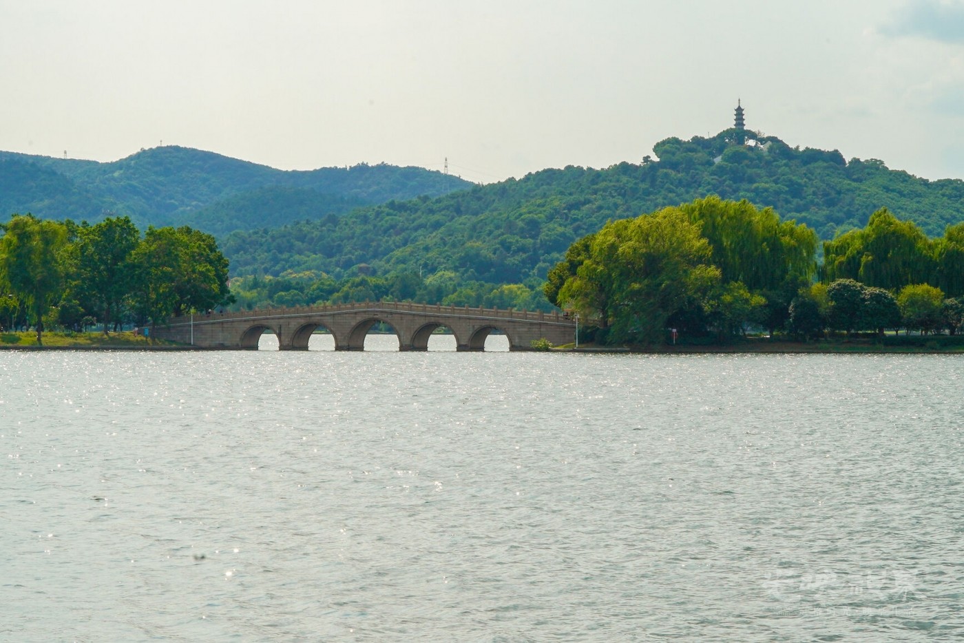 DXA00792.jpg