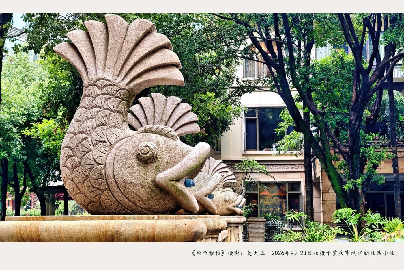 IMG_20260923_102335_副本_副本.jpg