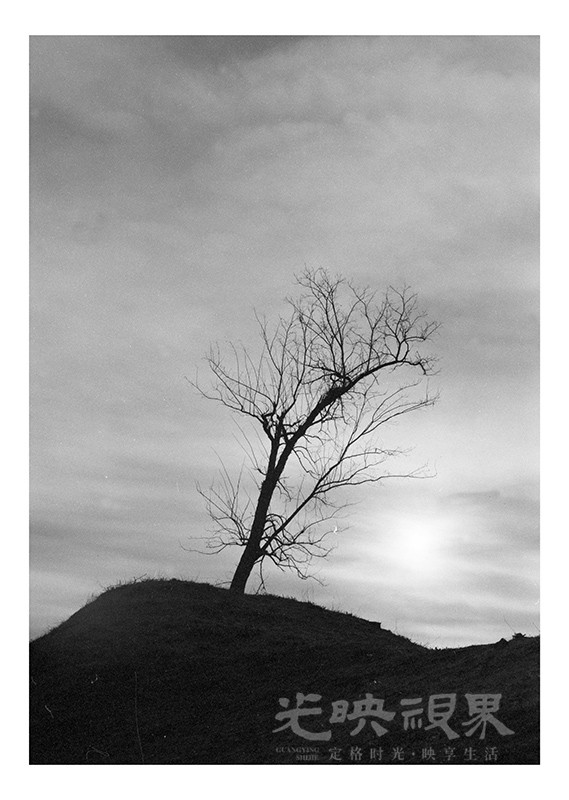 Untitled (6).jpg