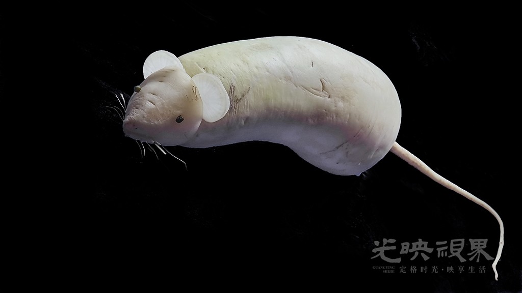 萝卜幻鼠  一根萝卜被赋予生灵的模样，在黑暗里，静静演绎一场自然与匠心的奇遇。小图.jpg