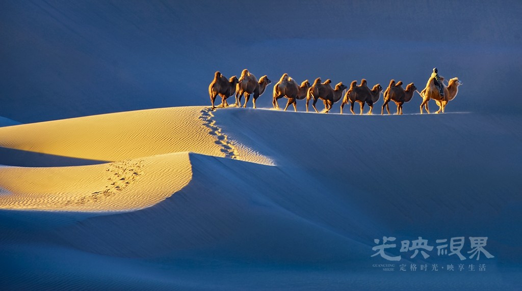 大漠驼影 小图.jpg