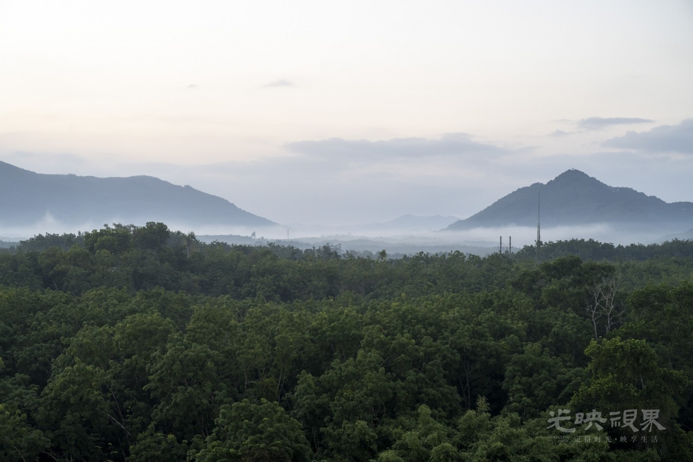 DSC_2417_1.JPG