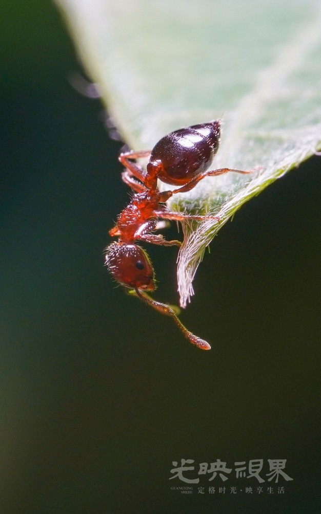 DXA08858.jpg