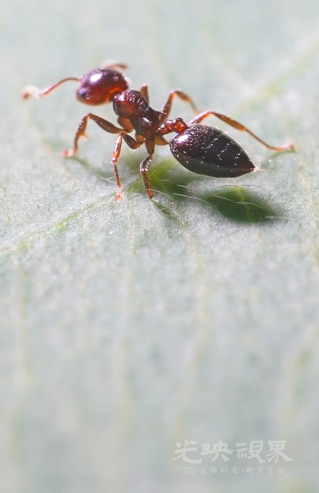 DXA08934.jpg