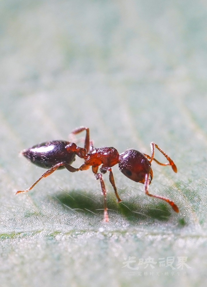 DXA08937.jpg