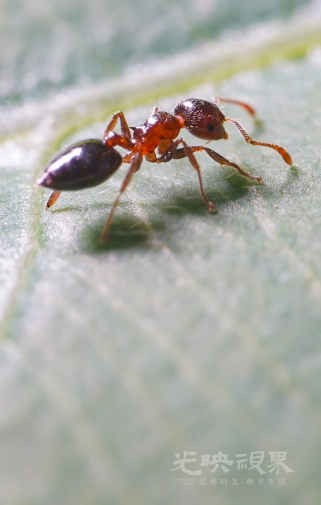 DXA08942.jpg