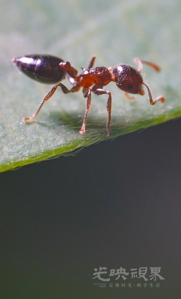 DXA08946.jpg