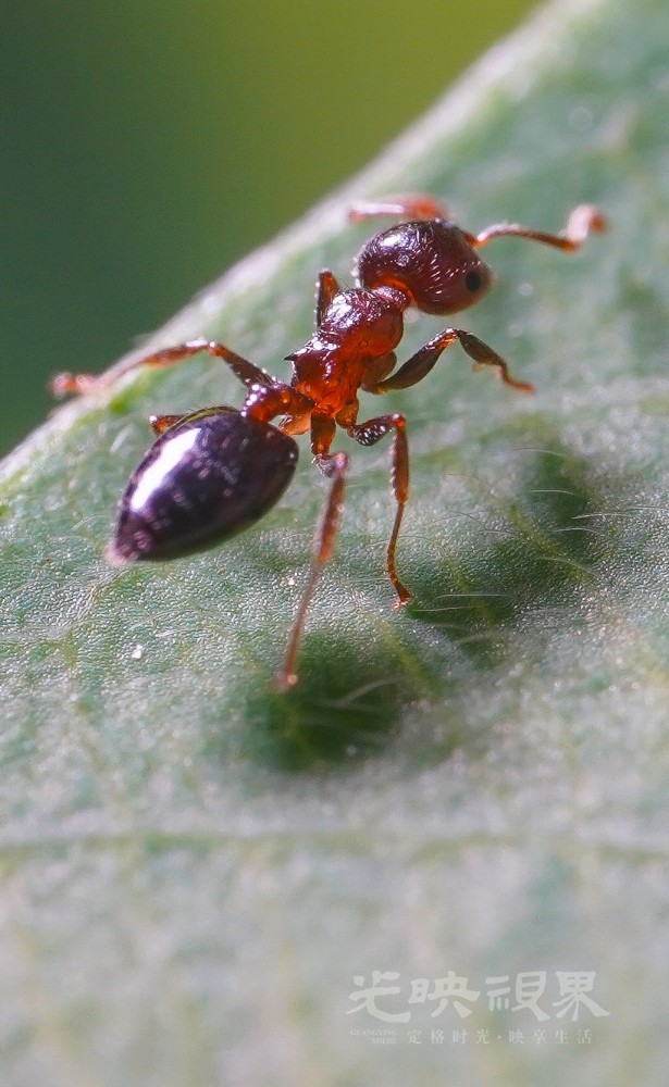 DXA08955.jpg