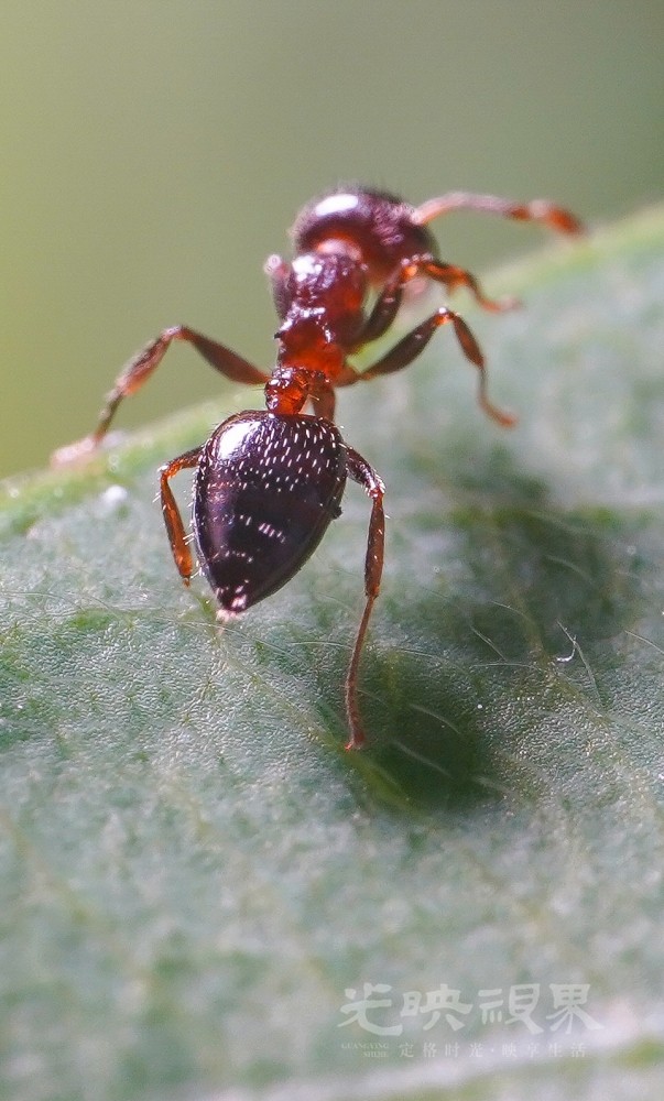 DXA08957.jpg