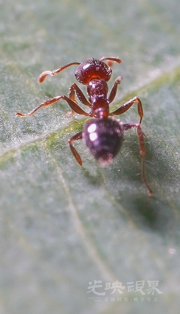 DXA08967.jpg