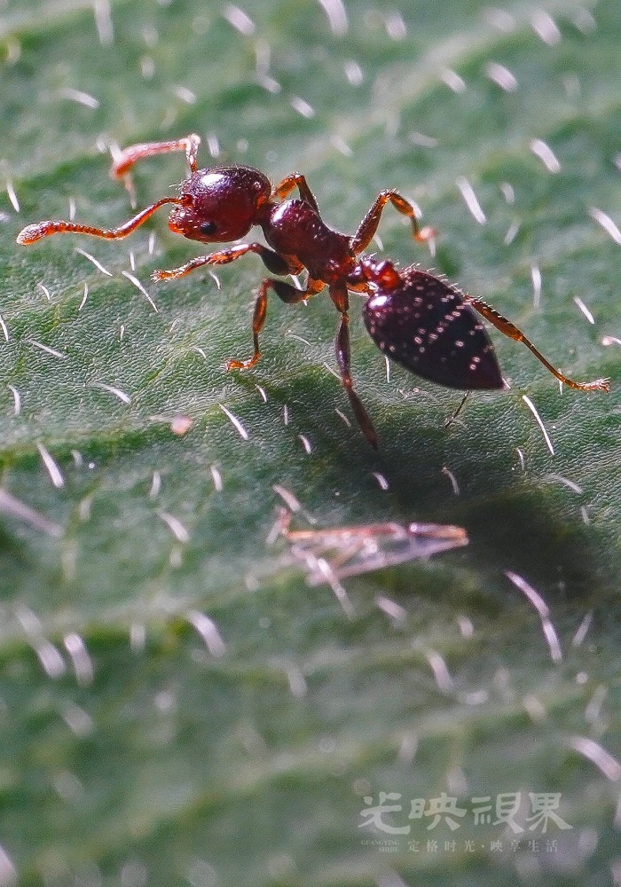 DXA08984.jpg