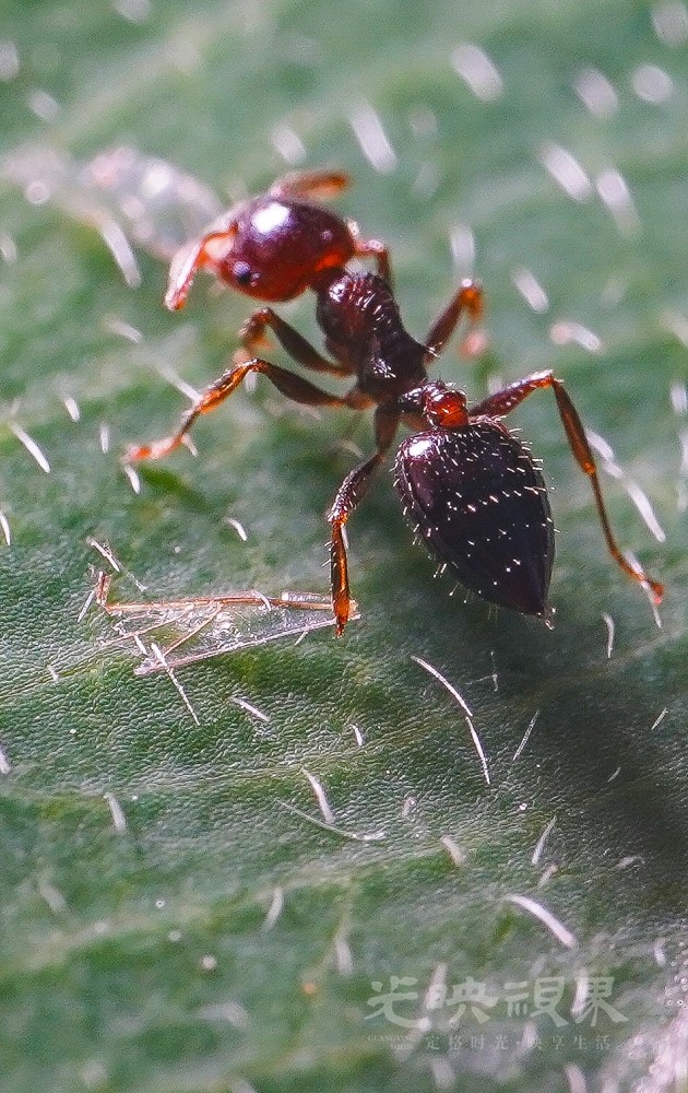 DXA08982.jpg