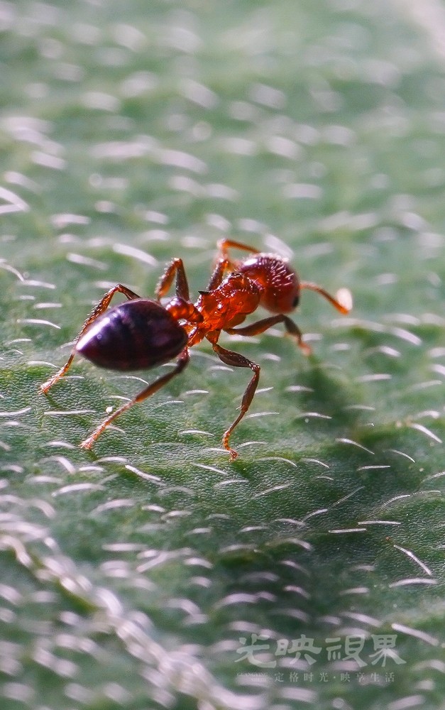DXA08986.jpg