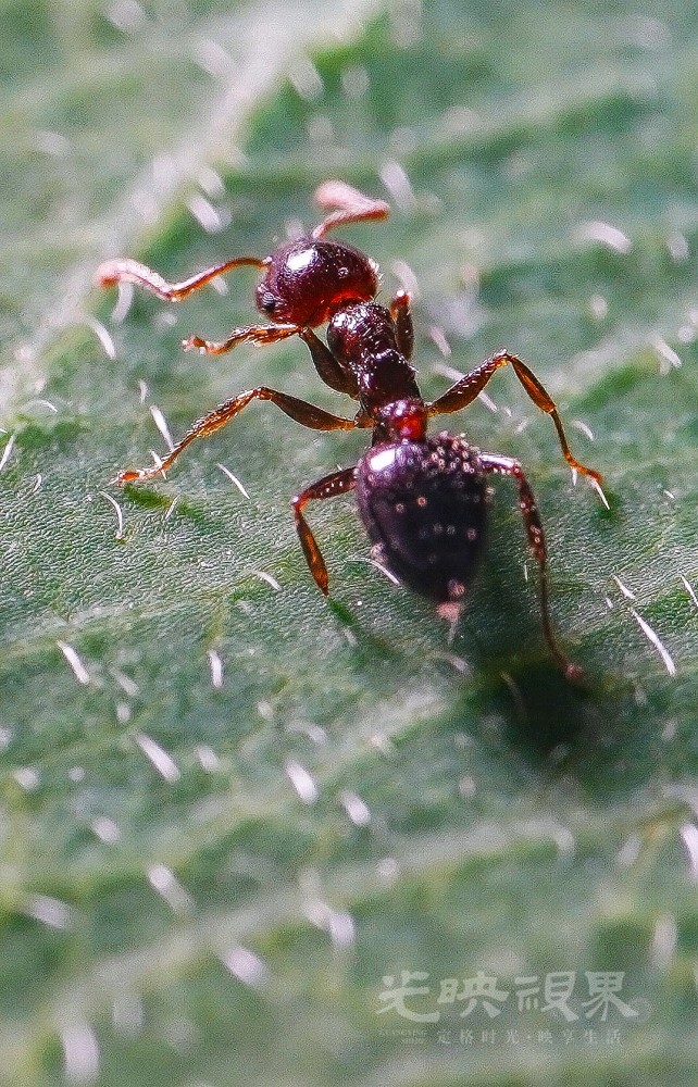 DXA08987.jpg