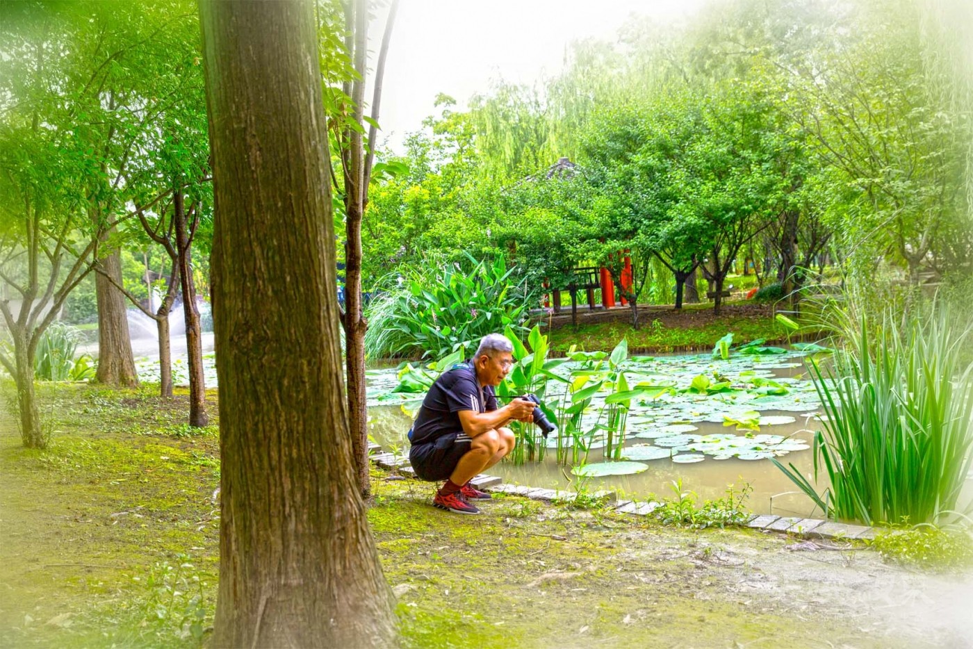 20200620嘉兴梅花洲020.jpg