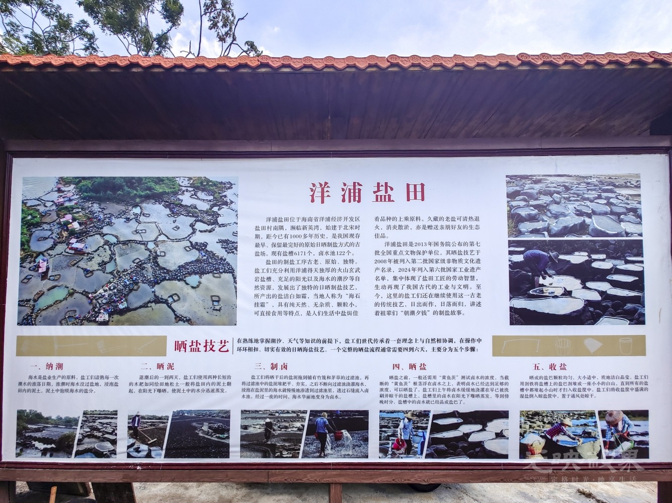 IMG_20260917_113102_1_1.JPG